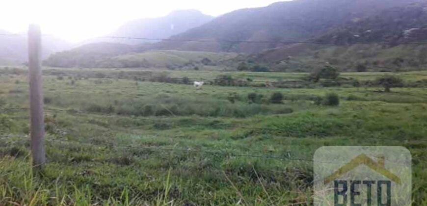 Fazenda para venda 307 alqueires em Casimiro de Abreu Fazenda para venda 307 alqueires em Casimiro de Abreu