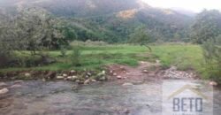 Fazenda para venda 307 alqueires em Casimiro de Abreu Fazenda para venda 307 alqueires em Casimiro de Abreu