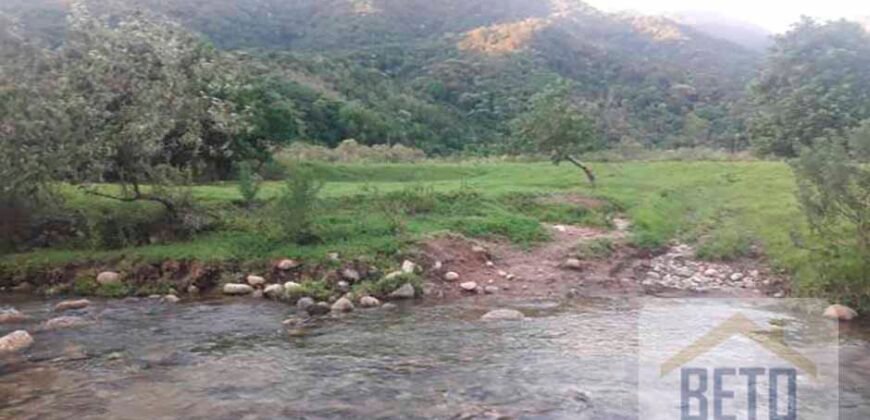 Fazenda para venda 307 alqueires em Casimiro de Abreu Fazenda para venda 307 alqueires em Casimiro de Abreu