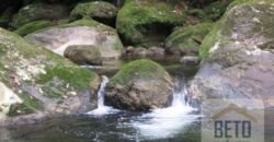 Fazenda para venda 307 alqueires em Casimiro de Abreu Fazenda para venda 307 alqueires em Casimiro de Abreu