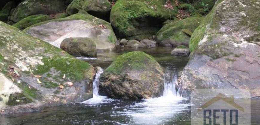Fazenda para venda 307 alqueires em Casimiro de Abreu Fazenda para venda 307 alqueires em Casimiro de Abreu