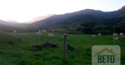 Fazenda para venda 307 alqueires em Casimiro de Abreu Fazenda para venda 307 alqueires em Casimiro de Abreu