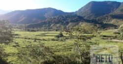 Fazenda para venda 307 alqueires em Casimiro de Abreu Fazenda para venda 307 alqueires em Casimiro de Abreu