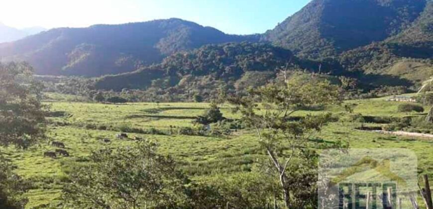 Fazenda para venda 307 alqueires em Casimiro de Abreu Fazenda para venda 307 alqueires em Casimiro de Abreu