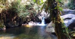 Fazenda para venda 307 alqueires em Casimiro de Abreu Fazenda para venda 307 alqueires em Casimiro de Abreu