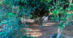 Sítios c/ 2.555m² à Venda em Cantagalo/ Rio das Ostras – RJ