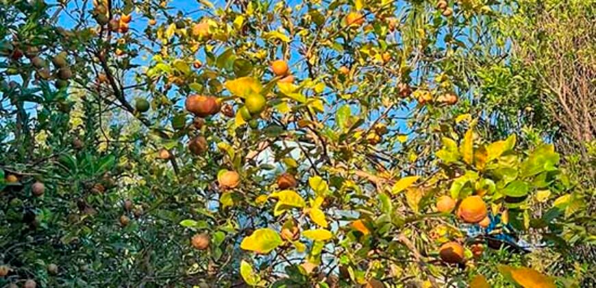 Sítios c/ 2.555m² à Venda em Cantagalo/ Rio das Ostras – RJ