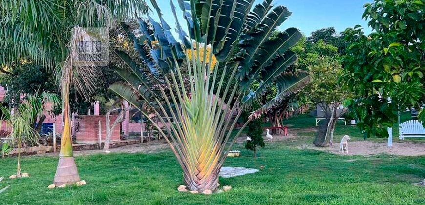 Sítios à Venda em Cantagalo Rio das Ostras RJ