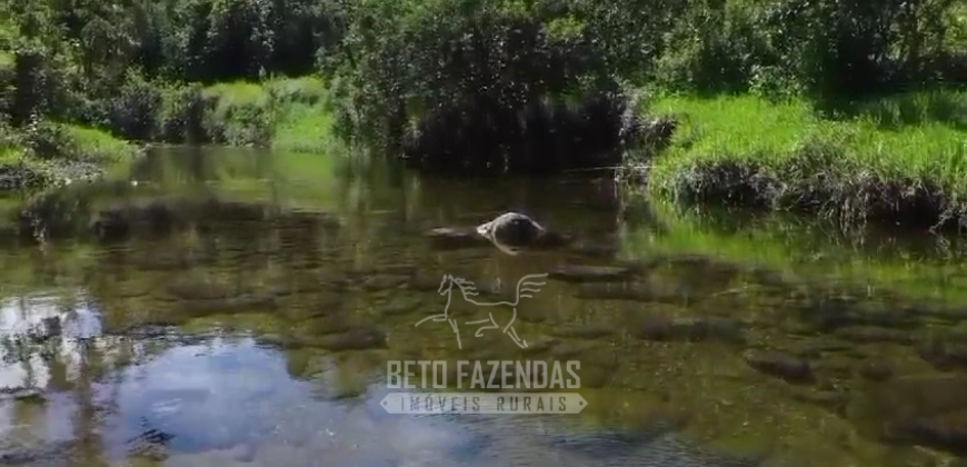 Fazenda c/ 300 alqueires à Venda em Casimiro de Abreu RJ
