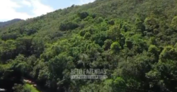 Fazenda c/ 300 alqueires à Venda em Casimiro de Abreu RJ