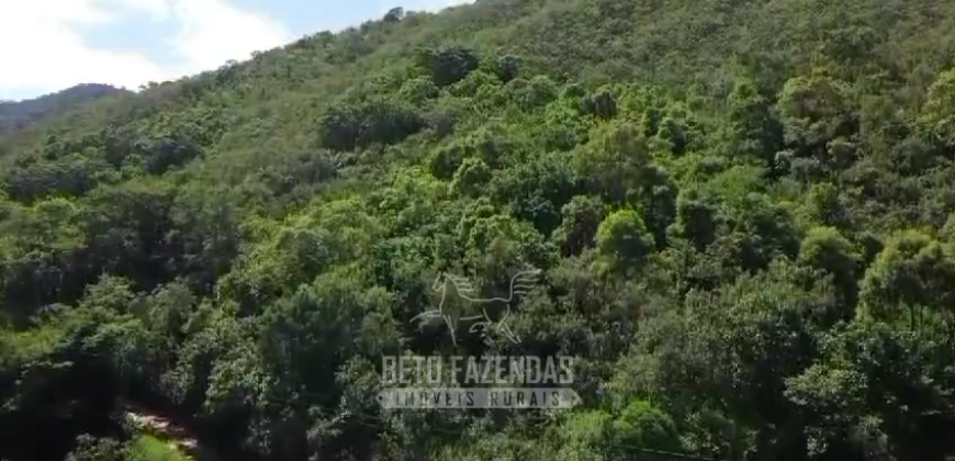 Fazenda c/ 300 alqueires à Venda em Casimiro de Abreu RJ