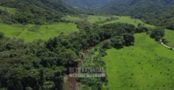 Fazenda c/ 300 alqueires à Venda em Casimiro de Abreu RJ