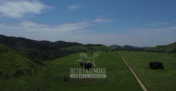 Fazenda c/ 300 alqueires à Venda em Casimiro de Abreu RJ