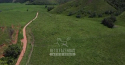 Fazenda c/ 300 alqueires à Venda em Casimiro de Abreu RJ