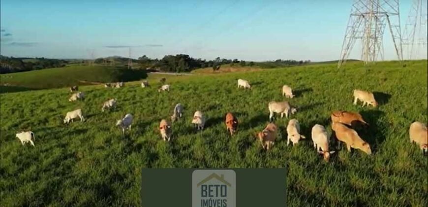 Fazendas/Sítios à Venda em Serrinha/ Campos RJ Fazendas/Sítios à Venda em Serrinha/ Campos RJ