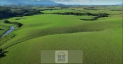 Fazendas/Sítios à Venda em Serrinha/ Campos RJ Fazendas/Sítios à Venda em Serrinha/ Campos RJ