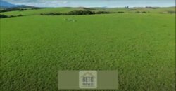 Fazendas/Sítios à Venda em Serrinha/ Campos RJ Fazendas/Sítios à Venda em Serrinha/ Campos RJ