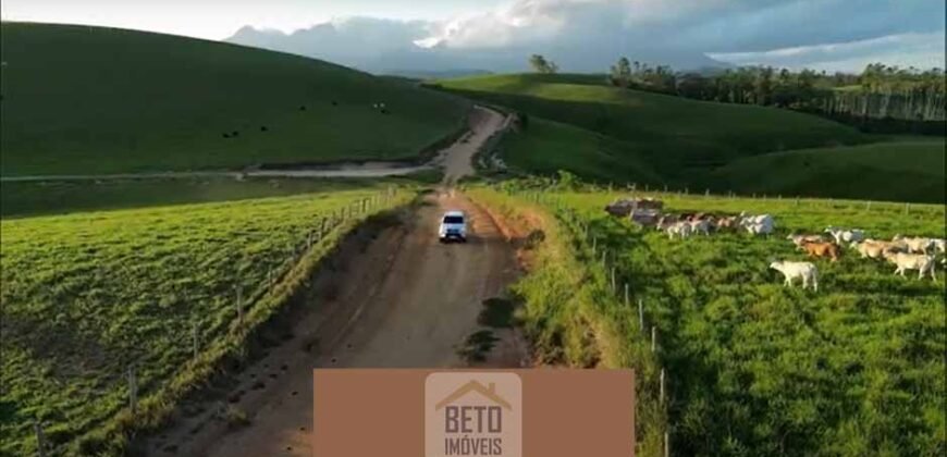 Fazendas/Sítios à Venda em Serrinha/ Campos RJ Fazendas/Sítios à Venda em Serrinha/ Campos RJ