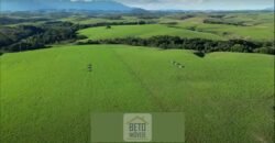 Fazendas/Sítios à Venda em Serrinha/ Campos RJ Fazendas/Sítios à Venda em Serrinha/ Campos RJ