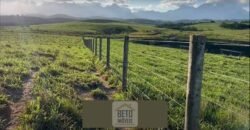 Fazendas/Sítios à Venda em Serrinha/ Campos RJ Fazendas/Sítios à Venda em Serrinha/ Campos RJ