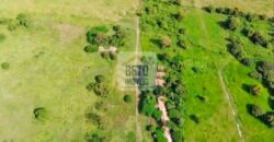 Fazendas c/ 4356 hectares à Venda em Campos dos Goytacazes – RJ Fazendas c/ 4356 hectares à Venda em Campos dos Goytacazes – RJ