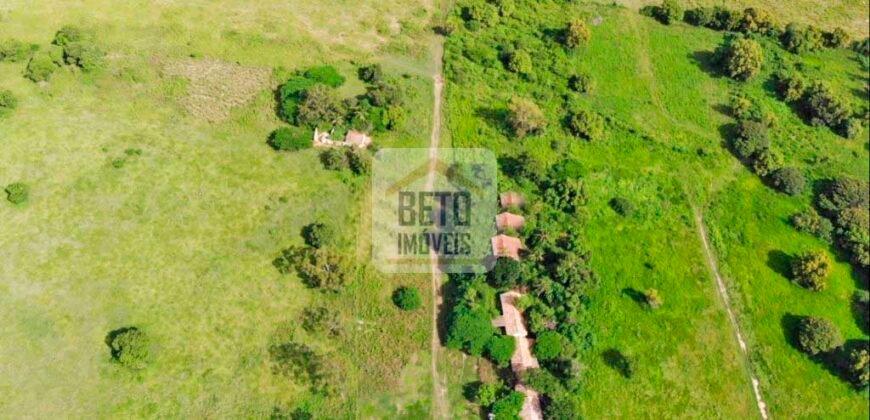 Fazendas c/ 4356 hectares à Venda em Campos dos Goytacazes – RJ Fazendas c/ 4356 hectares à Venda em Campos dos Goytacazes – RJ