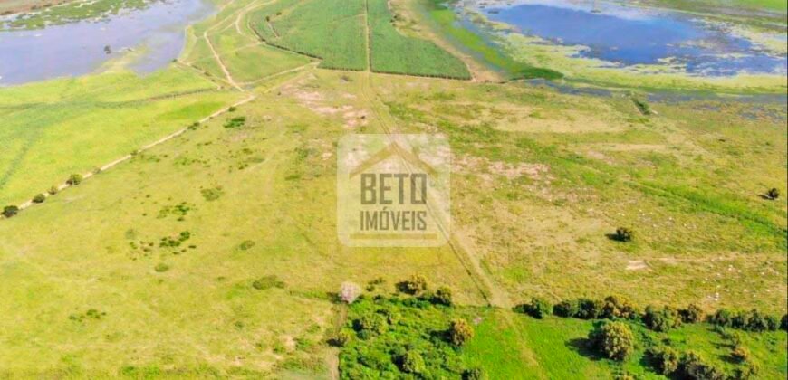 Fazendas c/ 4356 hectares à Venda em Campos dos Goytacazes – RJ Fazendas c/ 4356 hectares à Venda em Campos dos Goytacazes – RJ