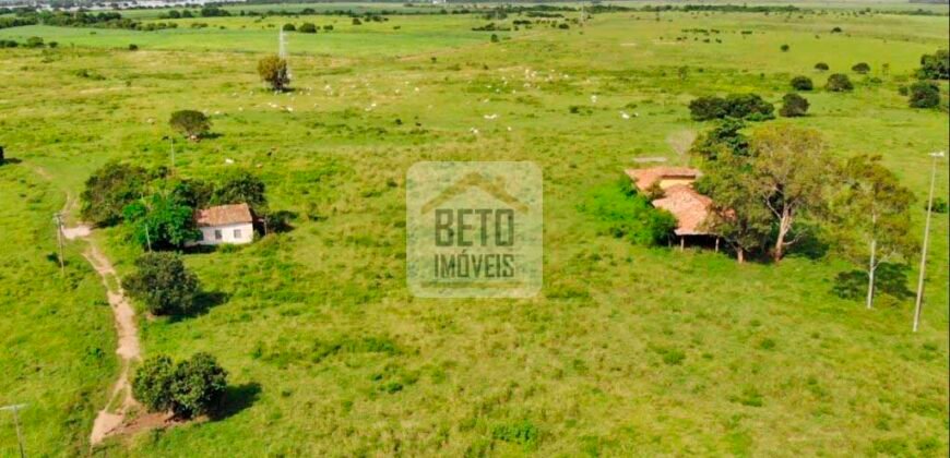 Fazendas c/ 4356 hectares à Venda em Campos dos Goytacazes – RJ Fazendas c/ 4356 hectares à Venda em Campos dos Goytacazes – RJ