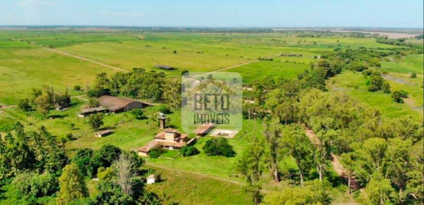 Fazendas c/ 4356 hectares à Venda em Campos dos Goytacazes – RJ Fazendas c/ 4356 hectares à Venda em Campos dos Goytacazes – RJ