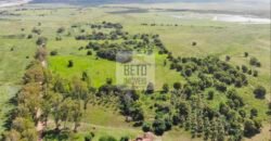 Fazendas c/ 4356 hectares à Venda em Campos dos Goytacazes – RJ Fazendas c/ 4356 hectares à Venda em Campos dos Goytacazes – RJ