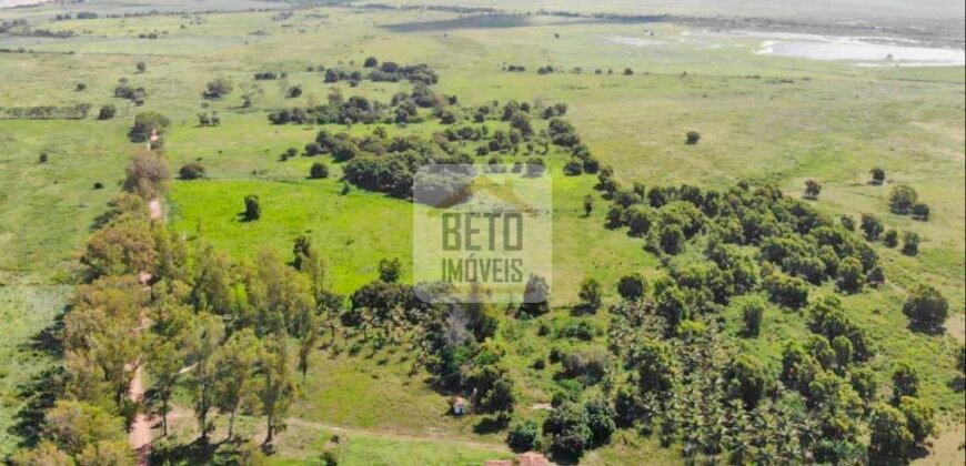 Fazendas c/ 4356 hectares à Venda em Campos dos Goytacazes – RJ Fazendas c/ 4356 hectares à Venda em Campos dos Goytacazes – RJ