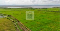 Fazendas c/ 4356 hectares à Venda em Campos dos Goytacazes – RJ Fazendas c/ 4356 hectares à Venda em Campos dos Goytacazes – RJ