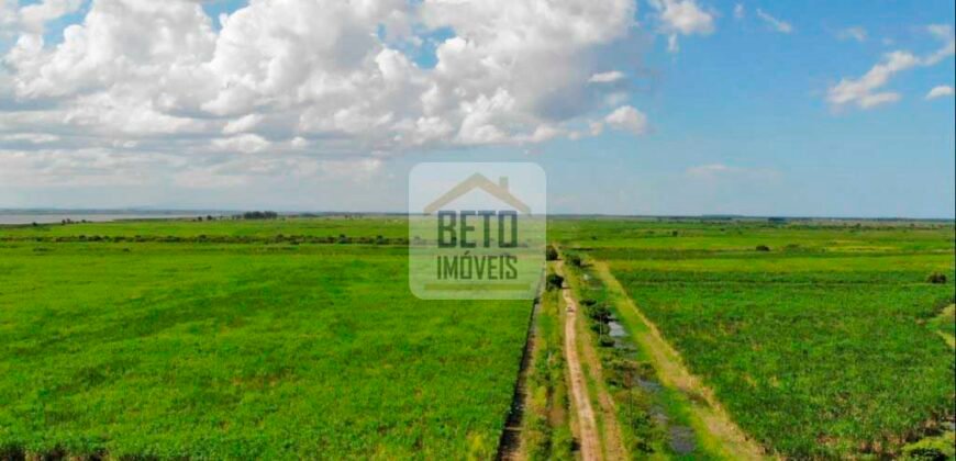 Fazendas c/ 4356 hectares à Venda em Campos dos Goytacazes – RJ Fazendas c/ 4356 hectares à Venda em Campos dos Goytacazes – RJ