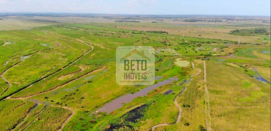 Fazendas c/ 4356 hectares à Venda em Campos dos Goytacazes – RJ Fazendas c/ 4356 hectares à Venda em Campos dos Goytacazes – RJ