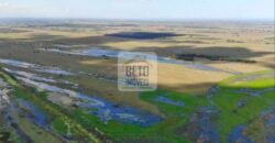 Fazendas c/ 4356 hectares à Venda em Campos dos Goytacazes – RJ Fazendas c/ 4356 hectares à Venda em Campos dos Goytacazes – RJ