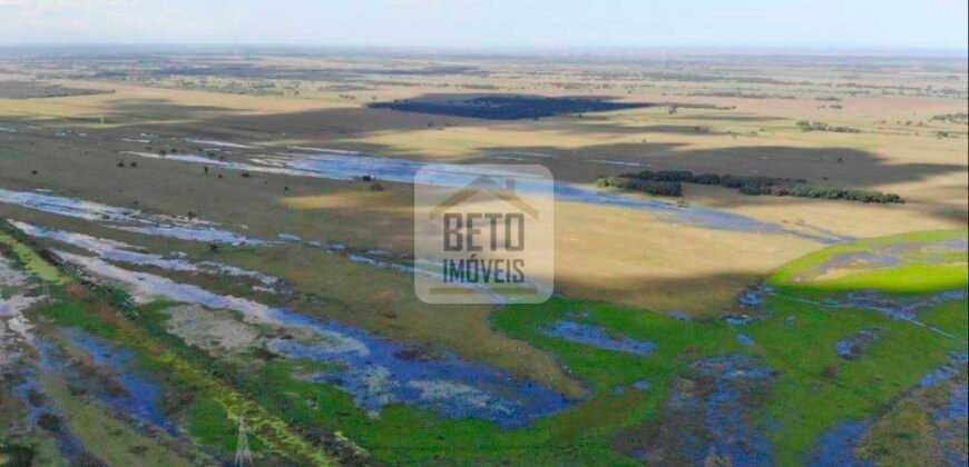 Fazendas c/ 4356 hectares à Venda em Campos dos Goytacazes – RJ Fazendas c/ 4356 hectares à Venda em Campos dos Goytacazes – RJ