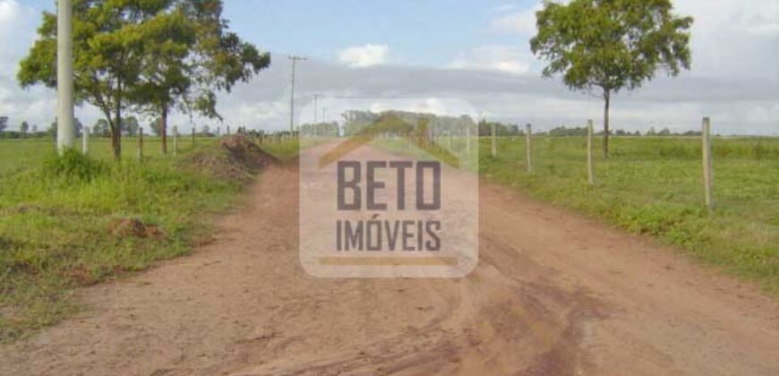 Fazendas c/ 4356 hectares à Venda em Campos dos Goytacazes – RJ Fazendas c/ 4356 hectares à Venda em Campos dos Goytacazes – RJ