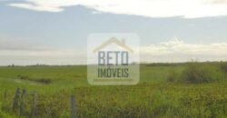 Fazendas c/ 4356 hectares à Venda em Campos dos Goytacazes – RJ Fazendas c/ 4356 hectares à Venda em Campos dos Goytacazes – RJ