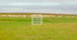 Fazendas c/ 4356 hectares à Venda em Campos dos Goytacazes – RJ Fazendas c/ 4356 hectares à Venda em Campos dos Goytacazes – RJ