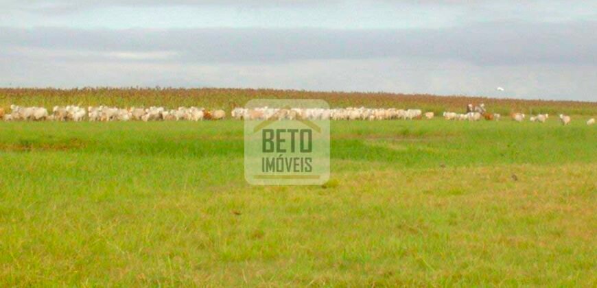 Fazendas c/ 4356 hectares à Venda em Campos dos Goytacazes – RJ Fazendas c/ 4356 hectares à Venda em Campos dos Goytacazes – RJ