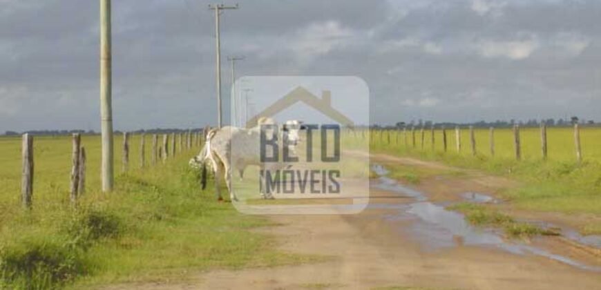 Fazendas c/ 4356 hectares à Venda em Campos dos Goytacazes – RJ Fazendas c/ 4356 hectares à Venda em Campos dos Goytacazes – RJ