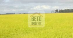 Fazendas c/ 4356 hectares à Venda em Campos dos Goytacazes – RJ Fazendas c/ 4356 hectares à Venda em Campos dos Goytacazes – RJ