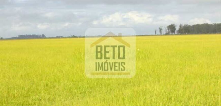 Fazendas c/ 4356 hectares à Venda em Campos dos Goytacazes – RJ Fazendas c/ 4356 hectares à Venda em Campos dos Goytacazes – RJ