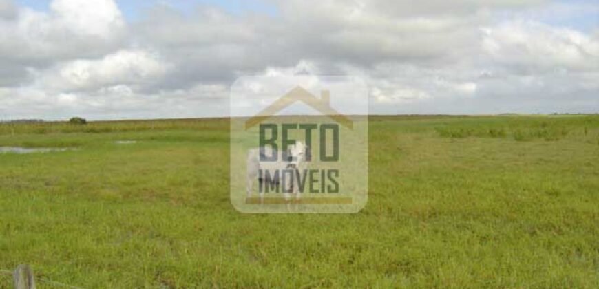 Fazendas c/ 4356 hectares à Venda em Campos dos Goytacazes – RJ Fazendas c/ 4356 hectares à Venda em Campos dos Goytacazes – RJ