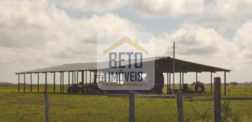 Fazendas c/ 4356 hectares à Venda em Campos dos Goytacazes – RJ Fazendas c/ 4356 hectares à Venda em Campos dos Goytacazes – RJ