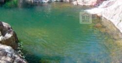 Fazenda São Roque com 96,1 hectares em Gravatal – SC Fazenda São Roque com 96,1 hectares em Gravatal – SC