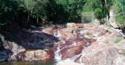 Fazenda São Roque com 96,1 hectares em Gravatal – SC Fazenda São Roque com 96,1 hectares em Gravatal – SC