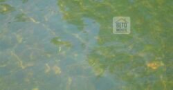 Fazenda São Roque com 96,1 hectares em Gravatal – SC Fazenda São Roque com 96,1 hectares em Gravatal – SC