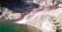 Fazenda São Roque com 96,1 hectares em Gravatal – SC Fazenda São Roque com 96,1 hectares em Gravatal – SC