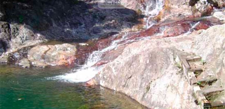 Fazenda São Roque com 96,1 hectares em Gravatal – SC Fazenda São Roque com 96,1 hectares em Gravatal – SC